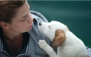 About this breed