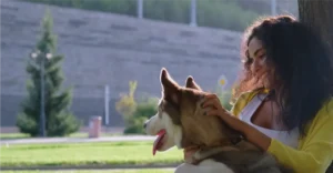 About this breed