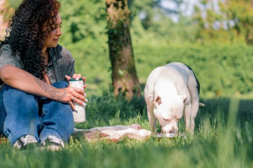 What Vitamins Do Dogs Need? Warning Signs Your Pet is Missing Out - sniffnwaggle