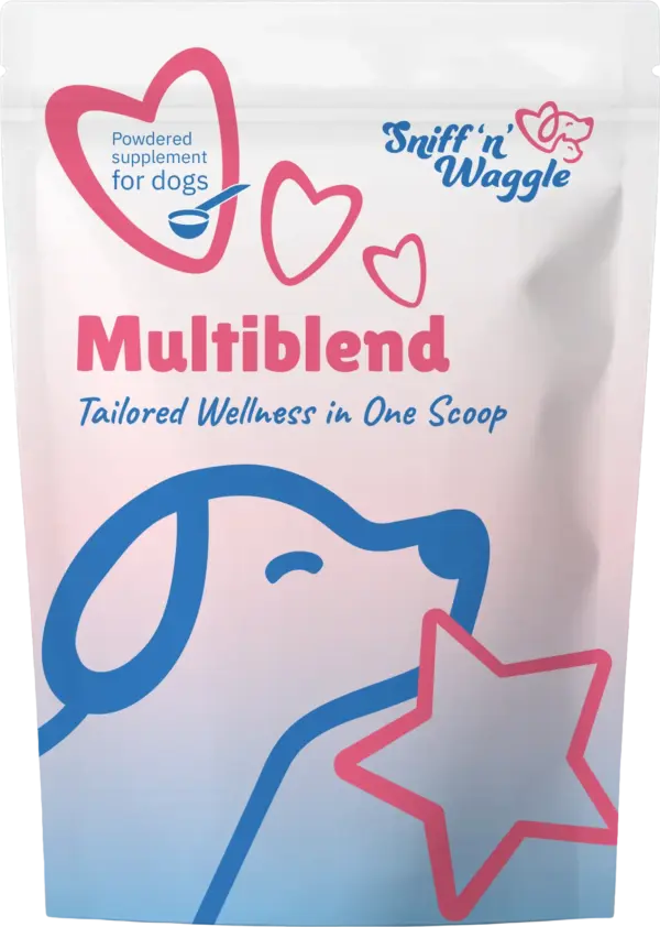 Why Choose Us Why Choose Us