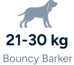 Bouncy Barker - 21-30Kg
