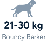Bouncy Barker - 21-30Kg
