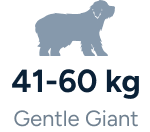 Gentle Giant - 41-60Kg