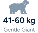 Gentle Giant - 41-60Kg