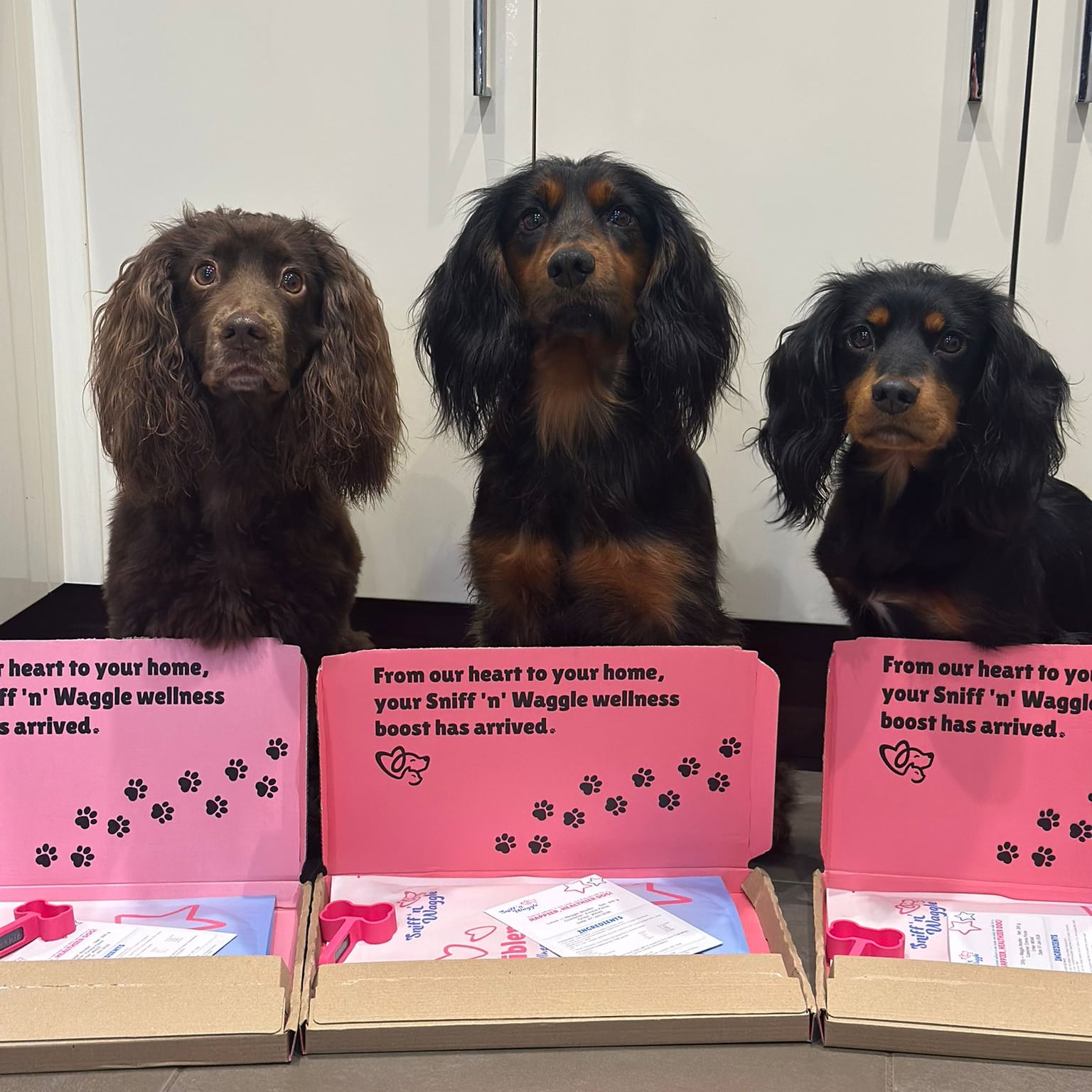 Marnie Louis and Dilly